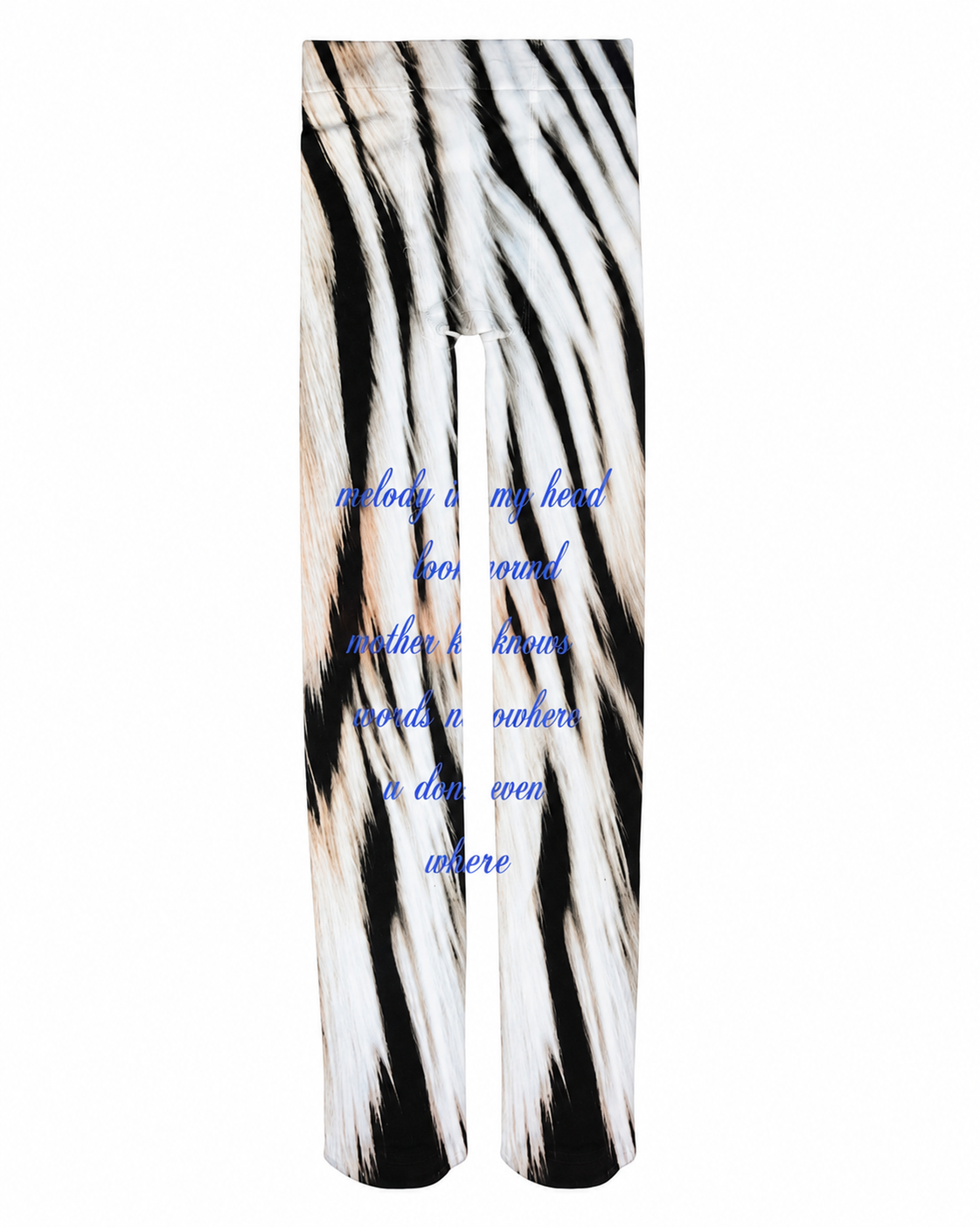 Melody In My Heart lyrics Zebra Tights
